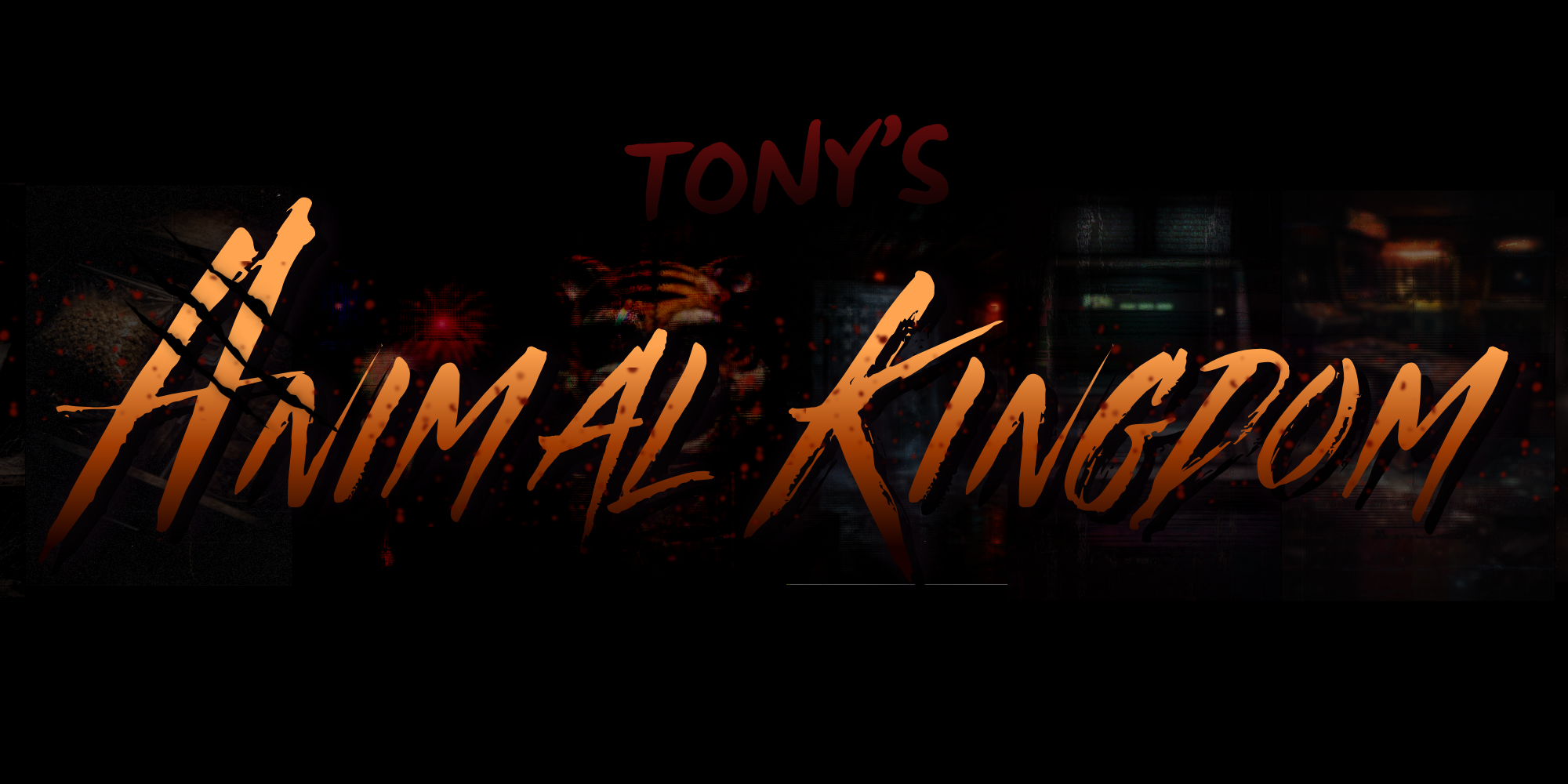 Tony's Animal Kingdom